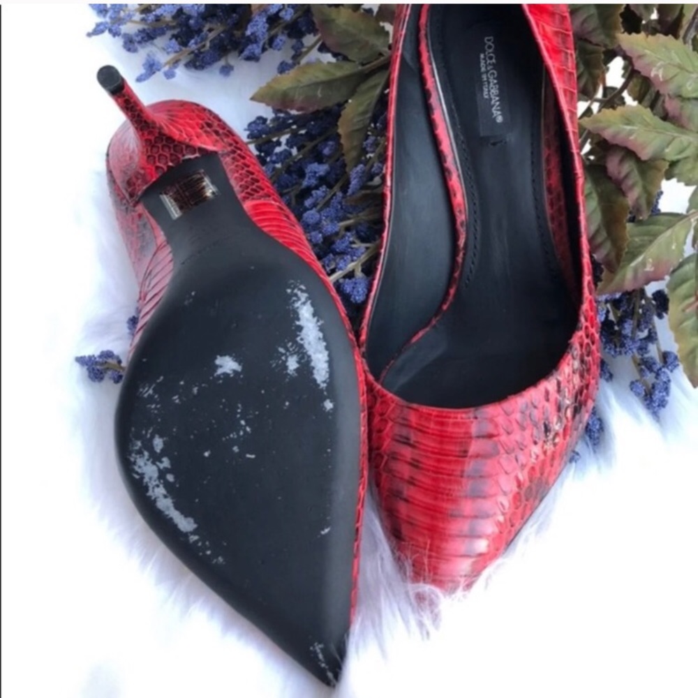Dolce & Gabbana Pump Red Python Heels - image 3